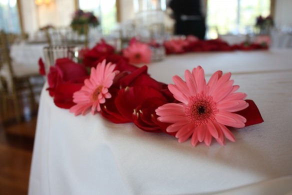 IMG_3890 (640x427)