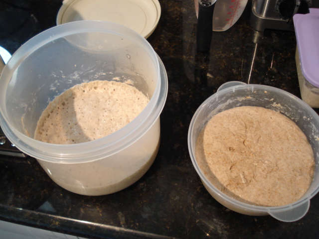 pre dough containers of spelt flour