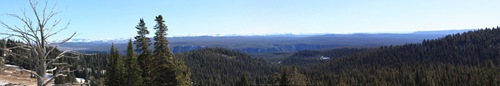 Panoramic Yellowstone