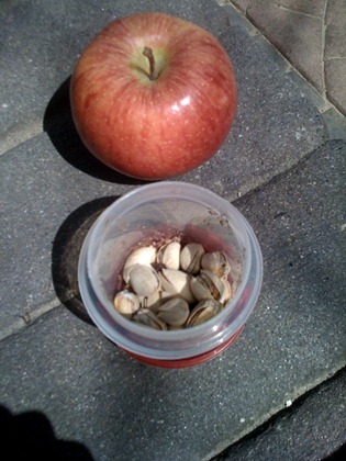 Apple   nuts