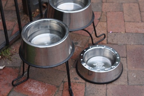 IMG_3676 (640x427) (2)