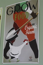 IMG_1081 (427x640)_thumb[1]