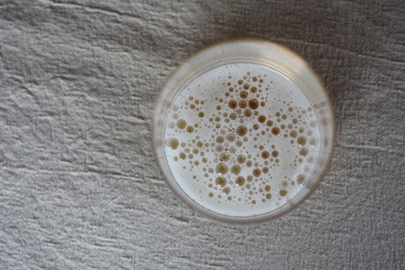 IMG_1425 (640x427) (2)