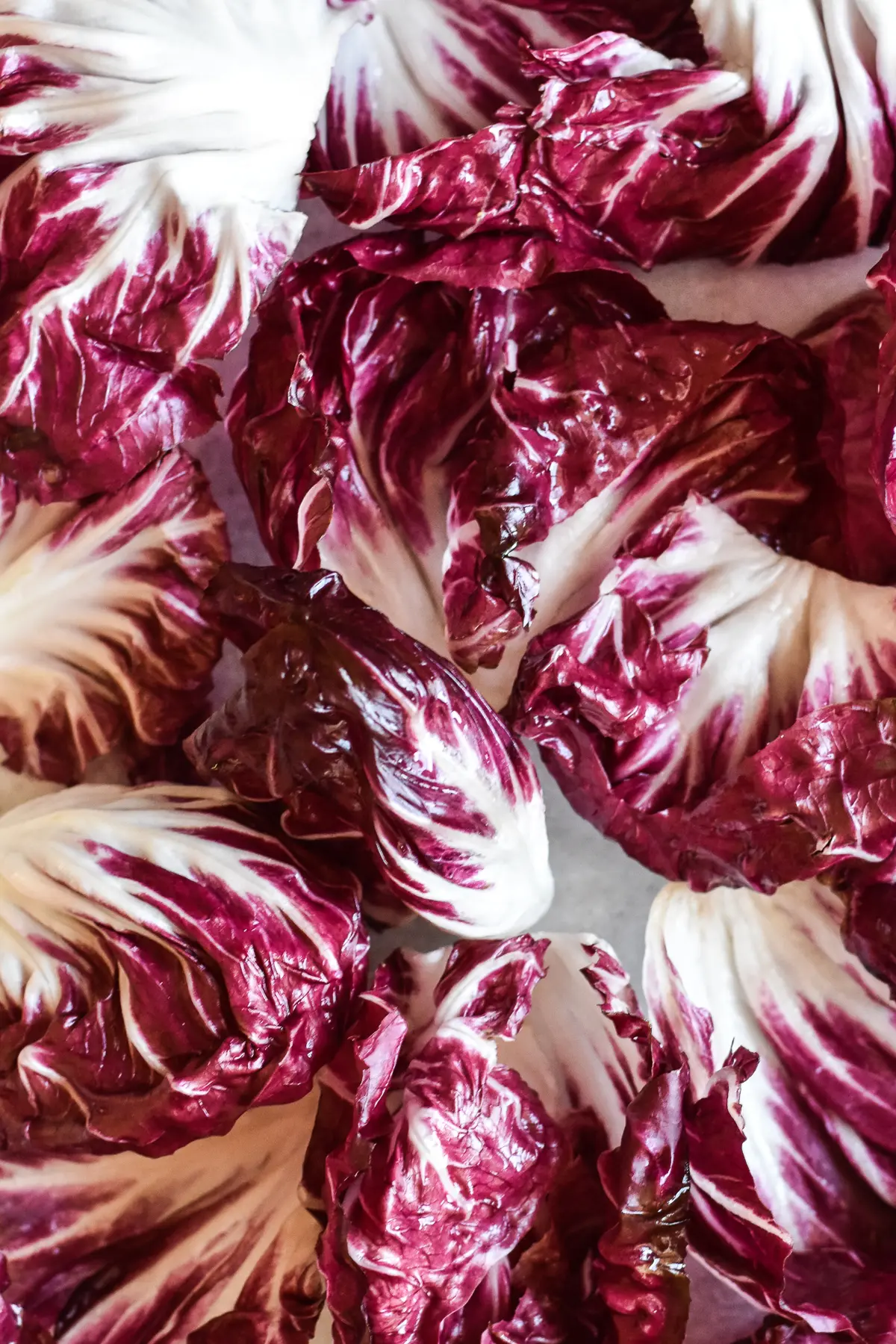 radicchio leaves