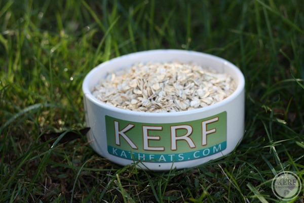 oats in a KERF bowl