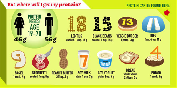 Vegetarian Sources of Protein 