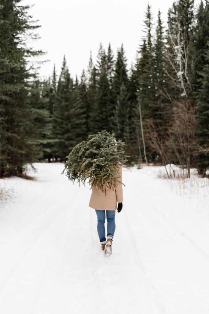 woman carrying christmas tree