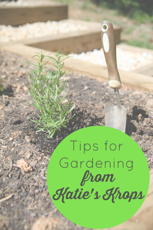Tips For Gardening