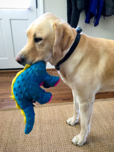 Friday Favorites Kath Eats