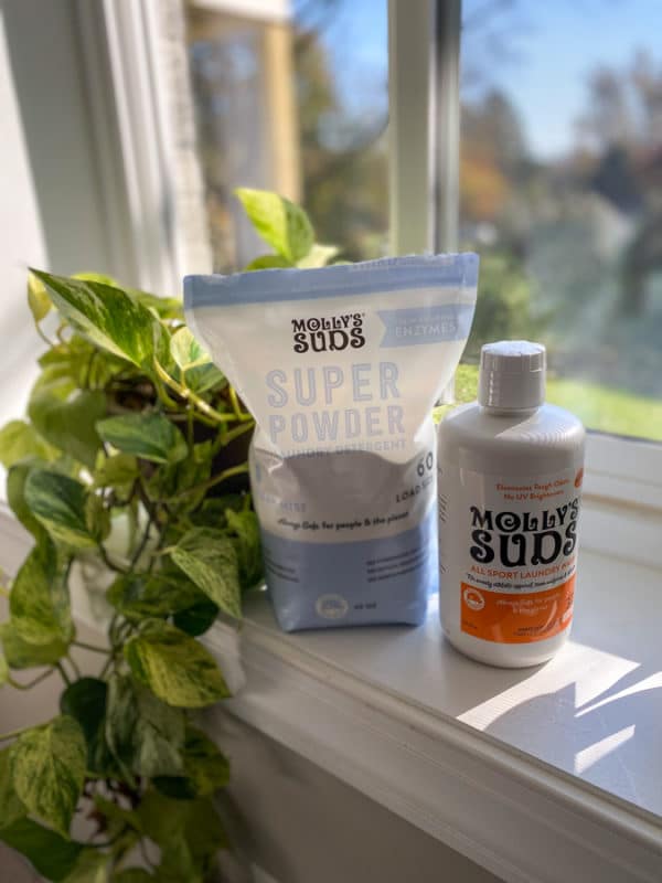 Natural Laundry Soap + Makeup Brush Cleaner • Kath Eats