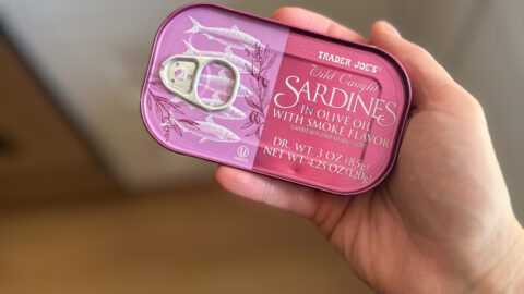 sardines fish in a tin