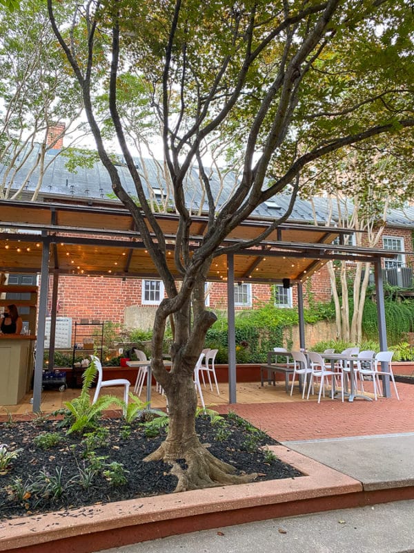 Meriwether Springs Vineyard + Tonic • Kath Eats