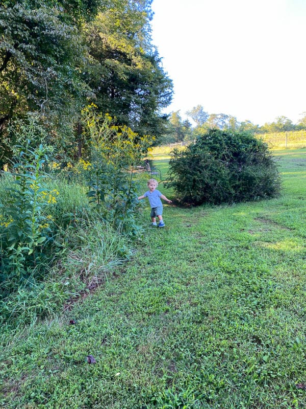 Meriwether Springs Vineyard + Tonic • Kath Eats