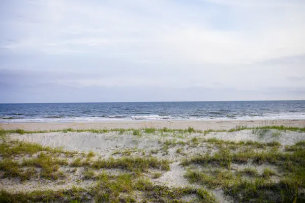bald head sand dune