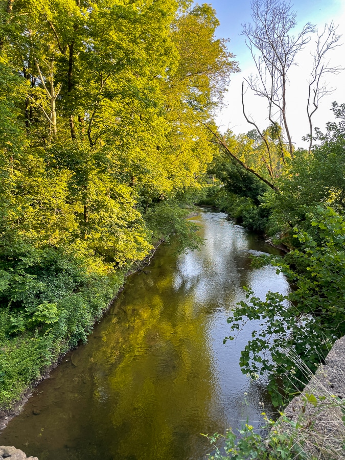 moore's creek