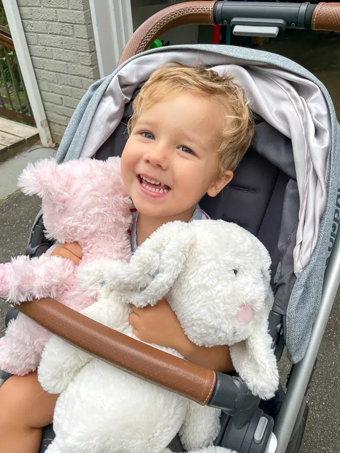 Birch with stuffed animals