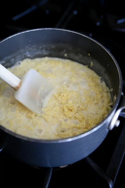 millet porridge with milk