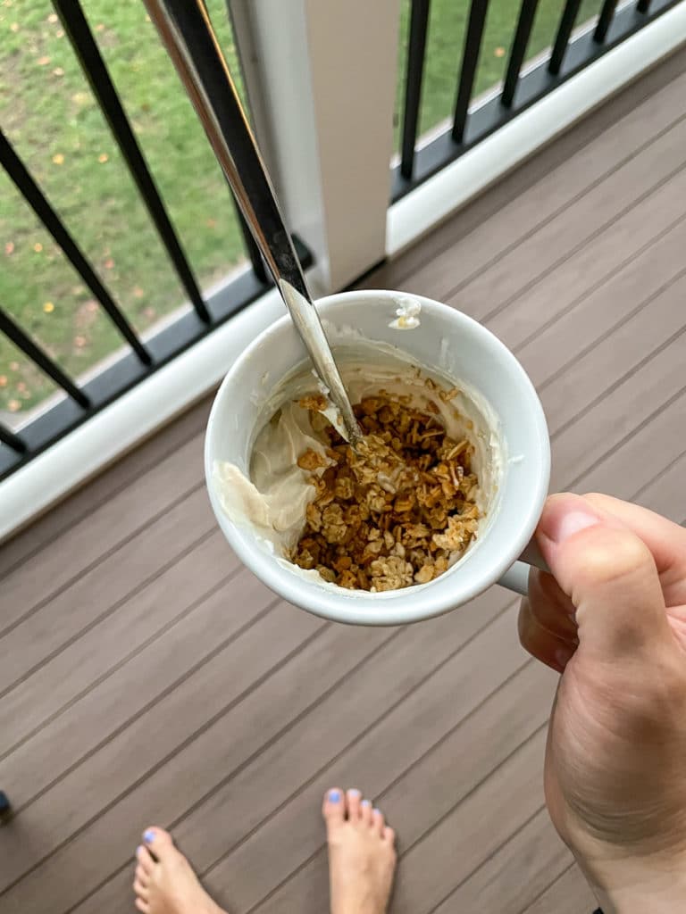 Peanut Butter Fluff Yogurt with granola