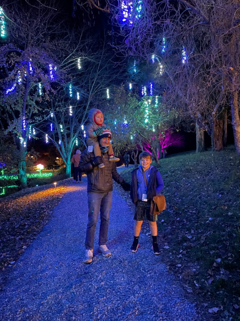 Winter Wander Trail Of Lights experience