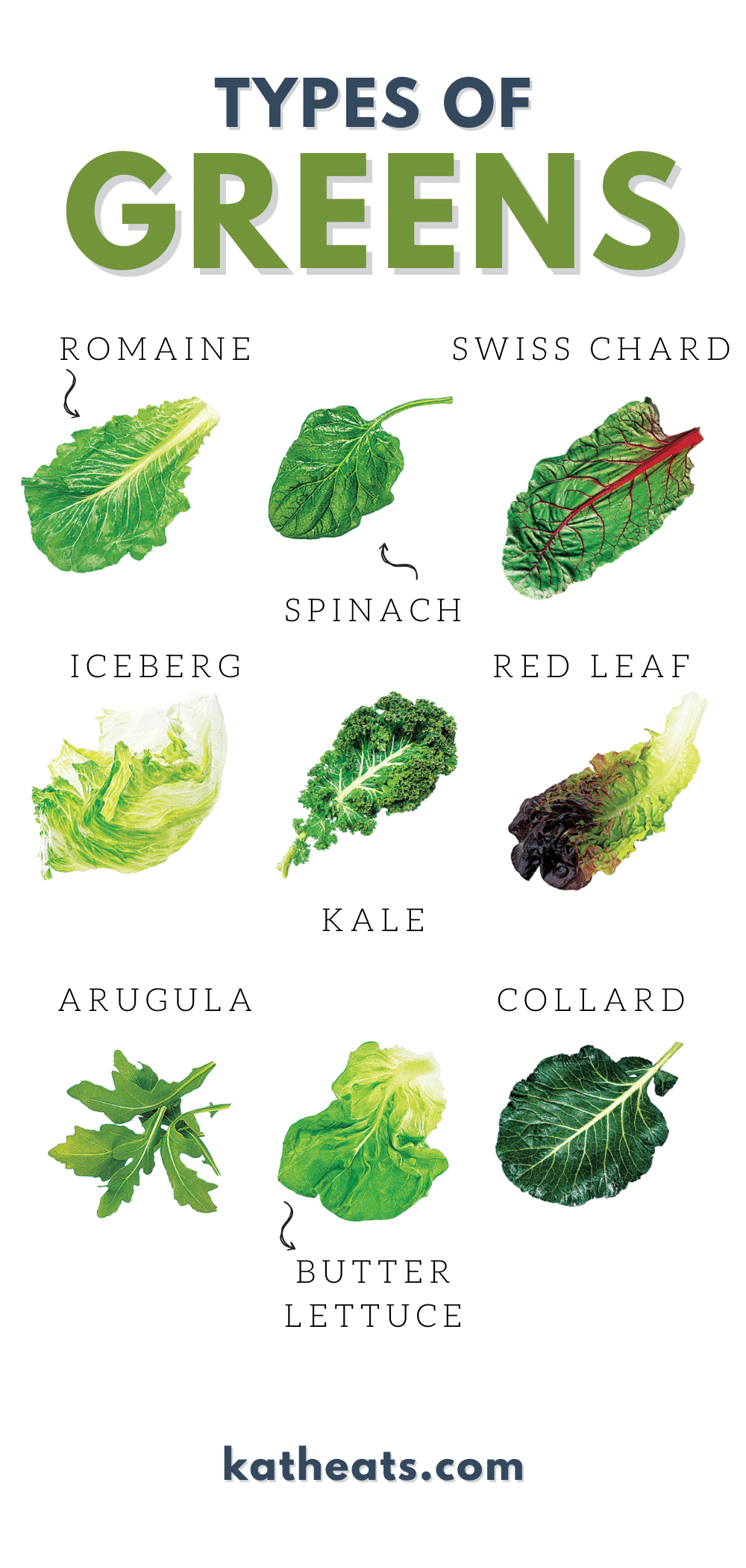How To Wash & Store Greens - Types of greens