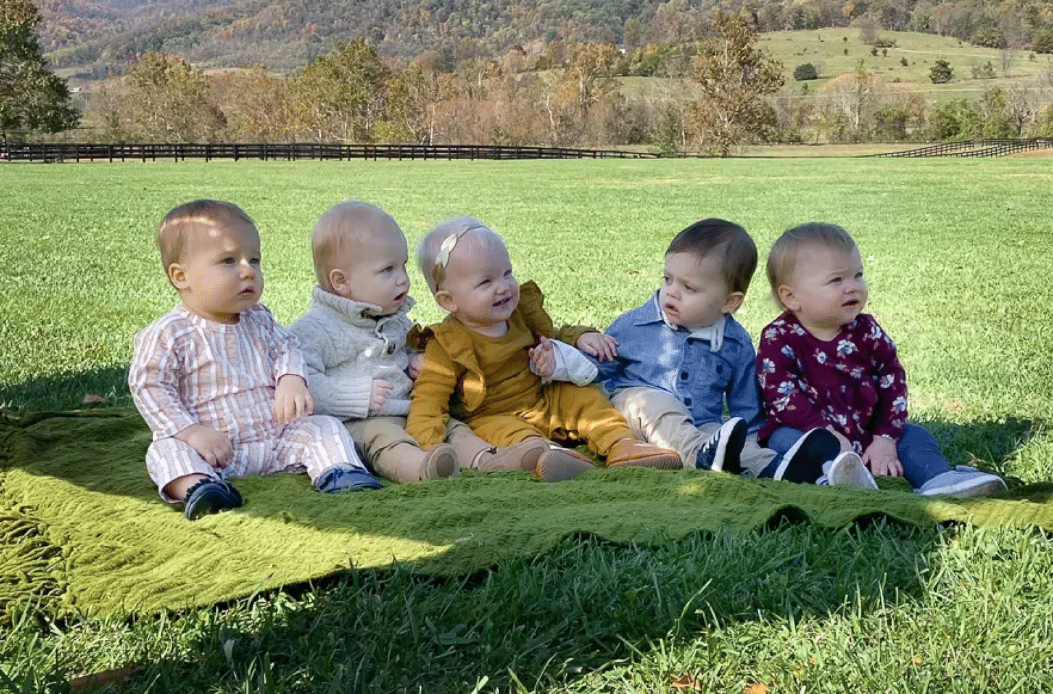5 babies on the grass 5 babies on the grass