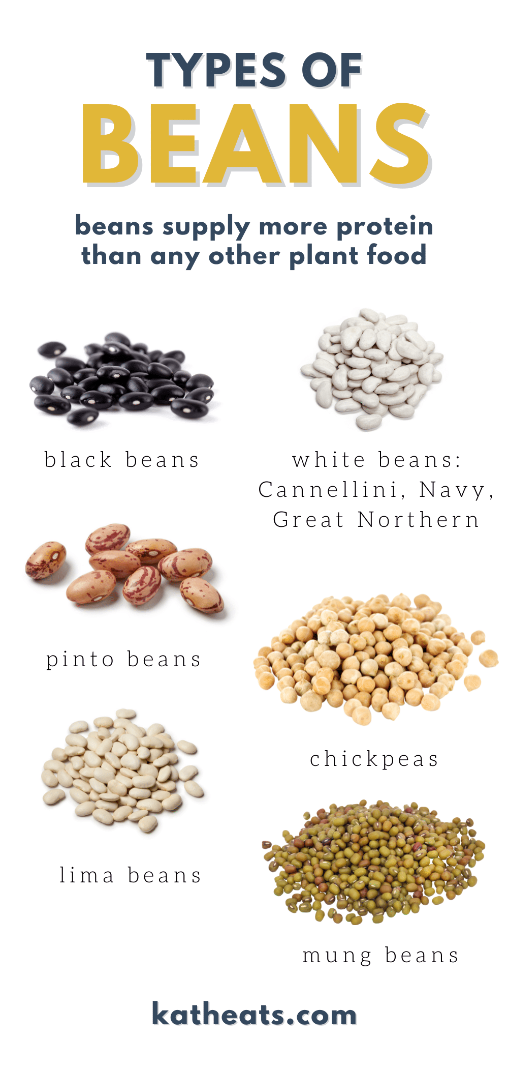 4 types of beans