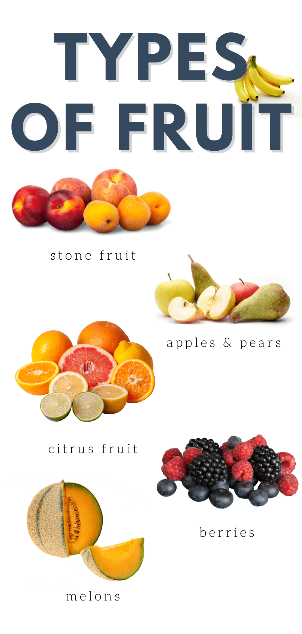Types of fruit