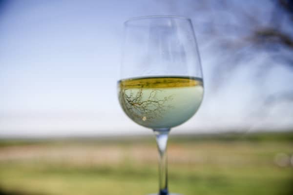 Blenheim Wine Glass