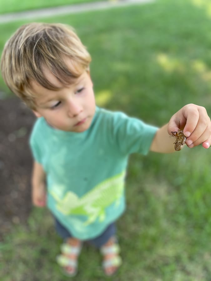 child holding cicada shells