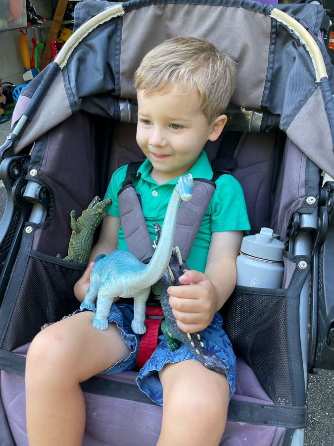 little boy in a stroller with dinosaur toys
