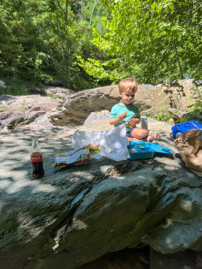 Sugar Hollow picnic | Those End Of Summer Blues