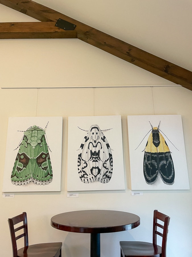 bug paintings