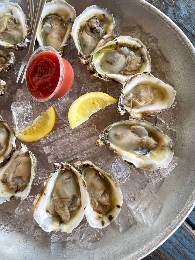 platter of oysters