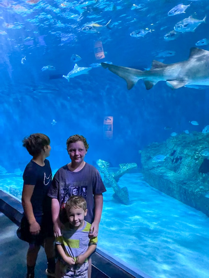 little kids in aquarium | Fall Trip To OBX - Part 2