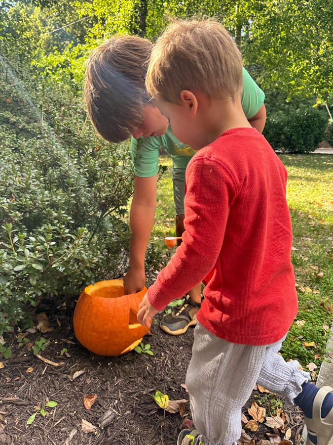little boys carving pumpkins