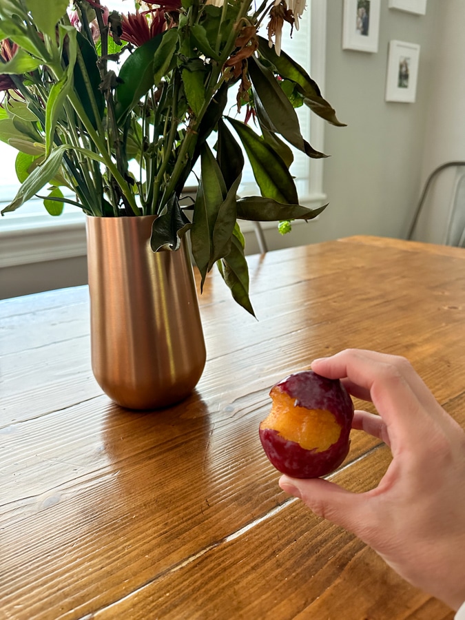 half-eaten plum | All About Autumn