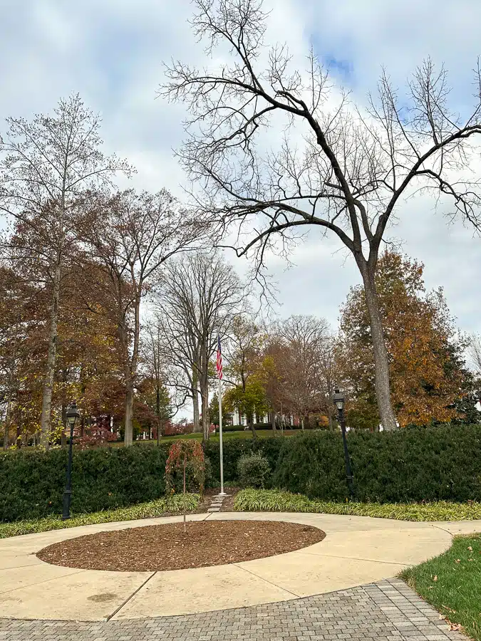 Lexington college stroll