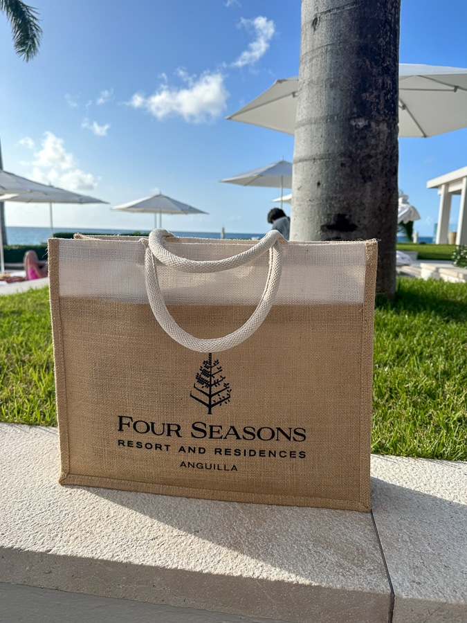 Four Seasons tote bag