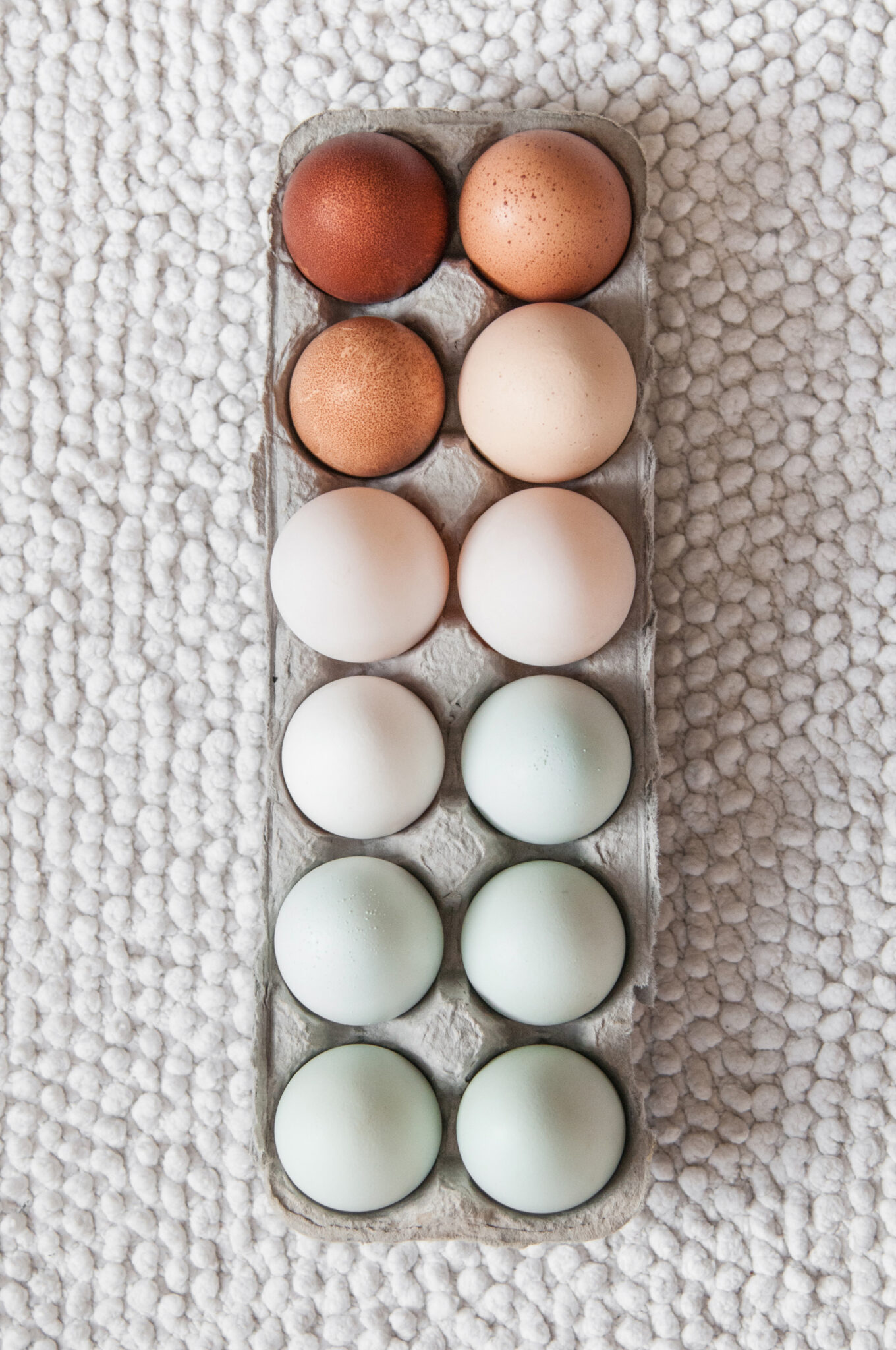 tray of eggs