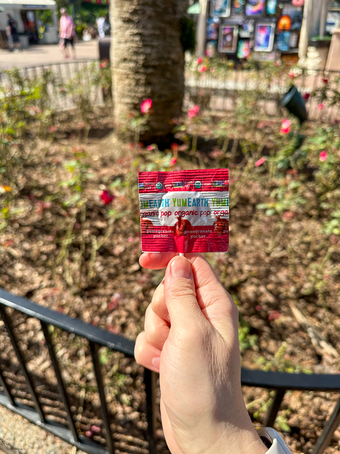 Lollipops for kids at Disney