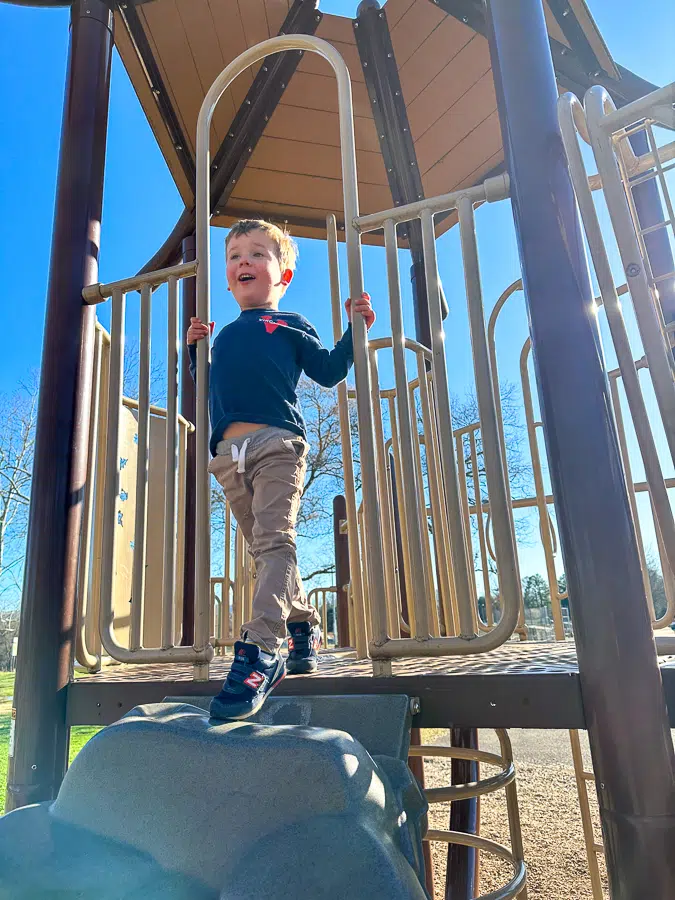 Birch in playground
