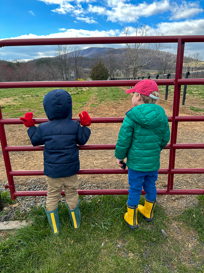 little boys in the farm
