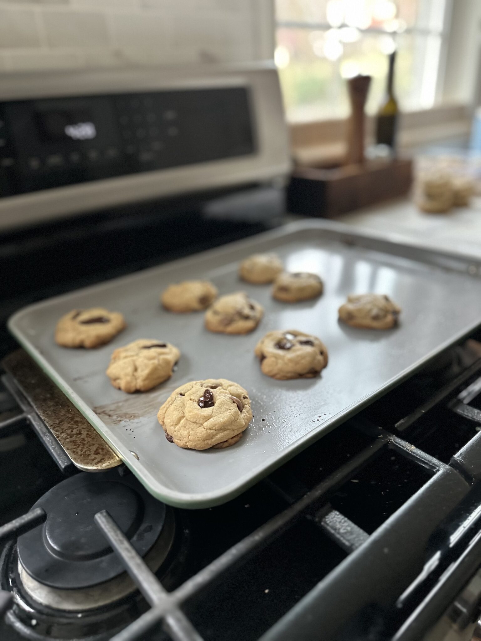 baked cookies in baking tray baked cookies in baking tray