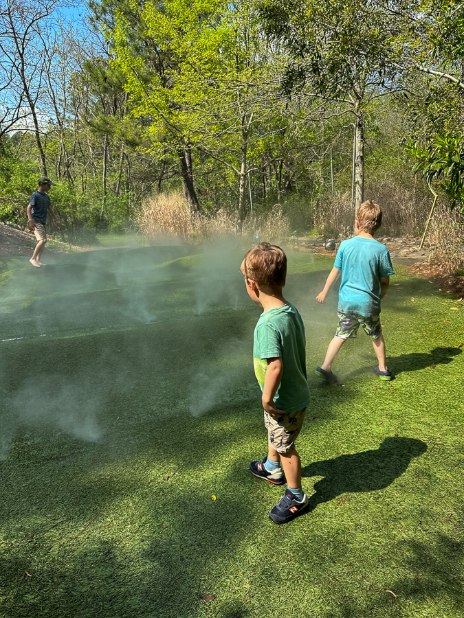 Kids Into The Mist