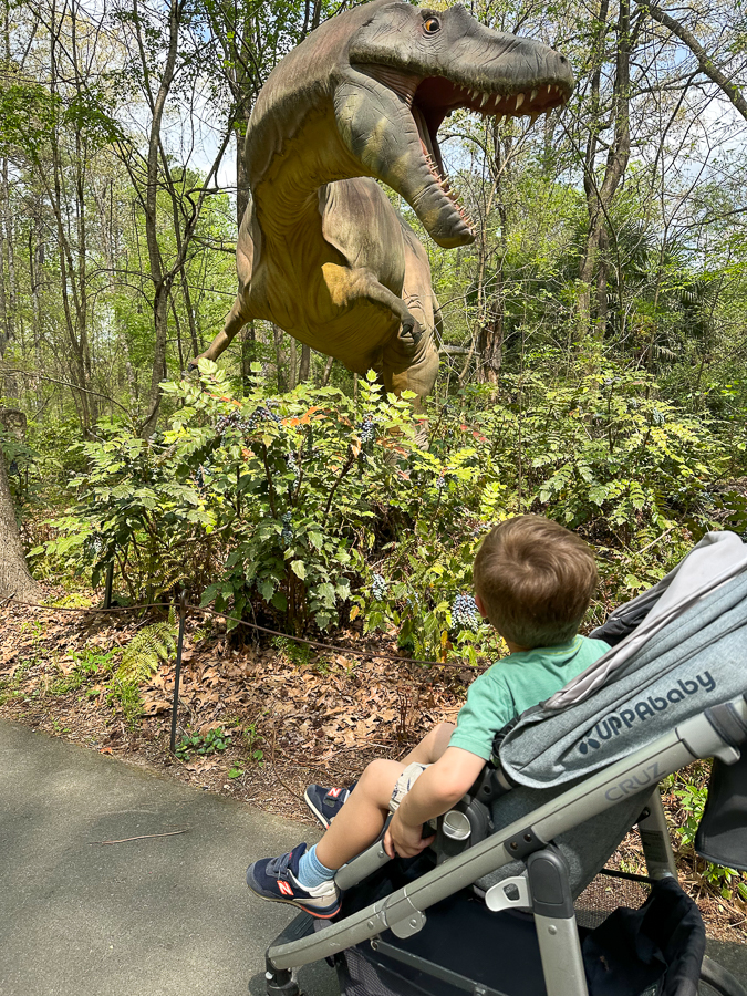 Museum of Life and Science Dinosaur Trail loop