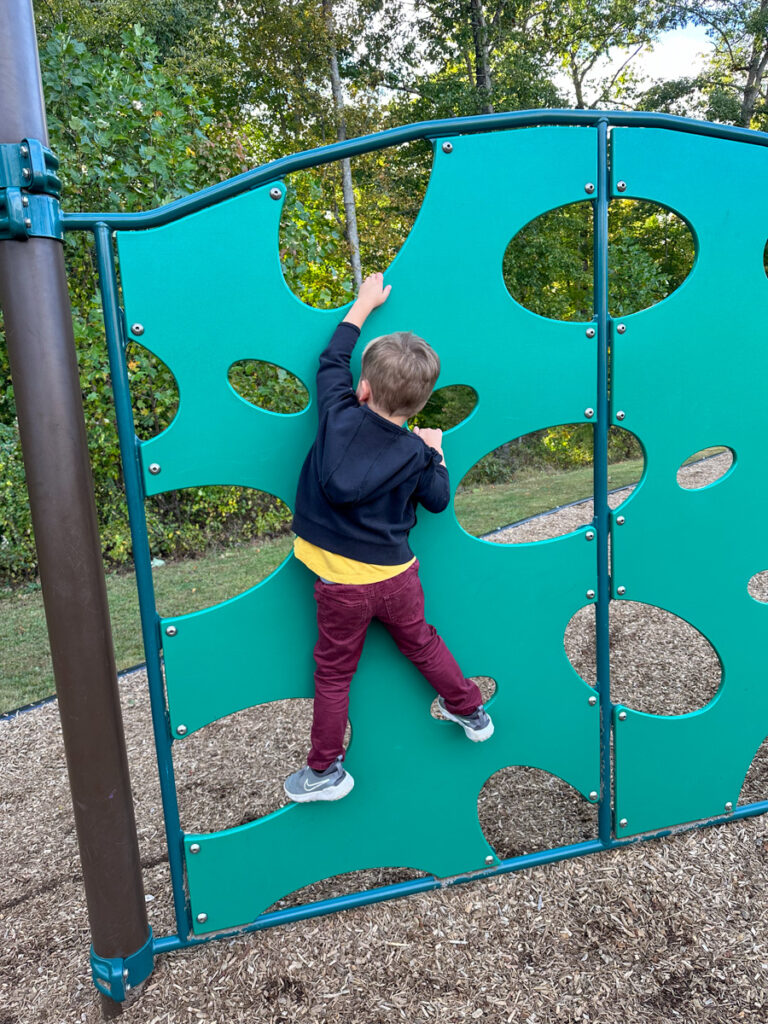 Greer Elementary playground review