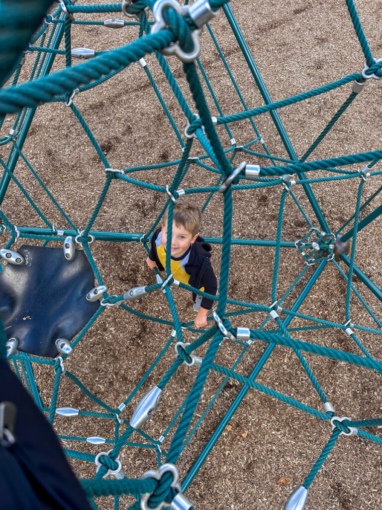Birch at Greer Elementary playground