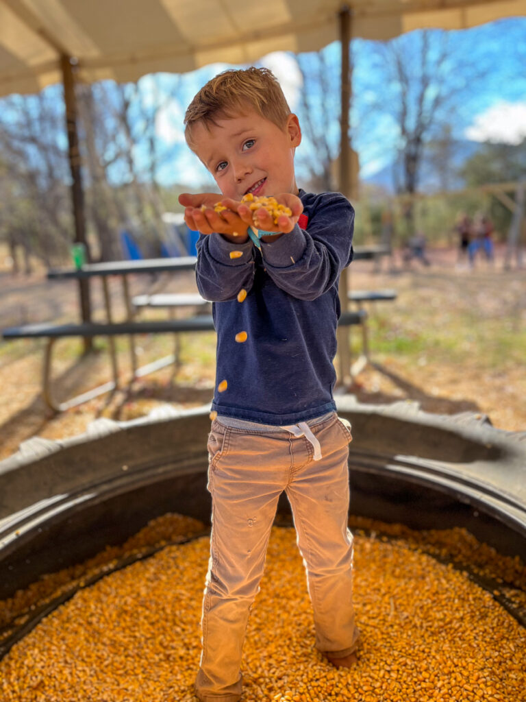 kids inside large pot of corn