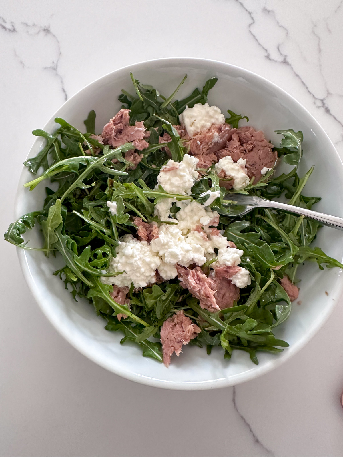 A random salad with tuna and cottage cheese