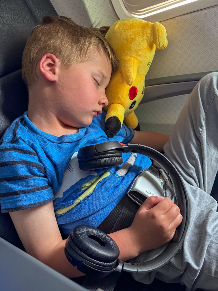 Birch sleeping on the plane